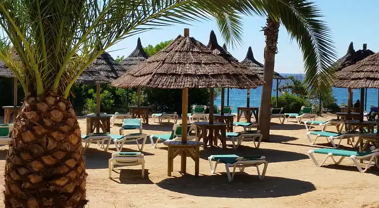 Camping Sènia Cala Gogo Internacional