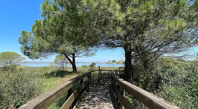 Rosapineta Camping Village 