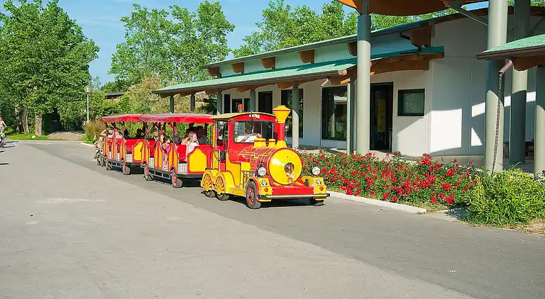 Rosapineta Camping Village 