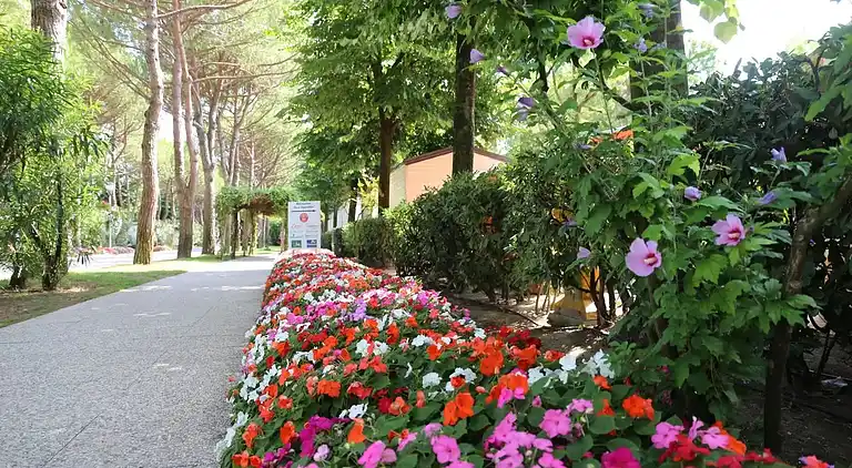 Sant' Angelo Village