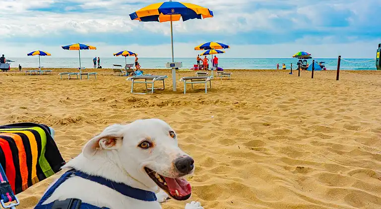 Camping Village Cavallino