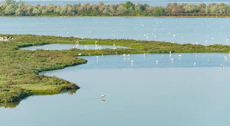 International Camping Mare e Pineta