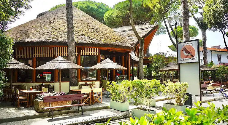 International Camping Mare e Pineta