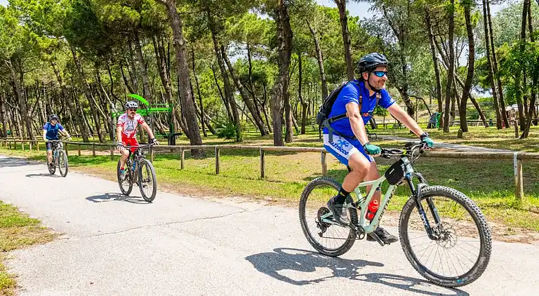International Camping Mare e Pineta