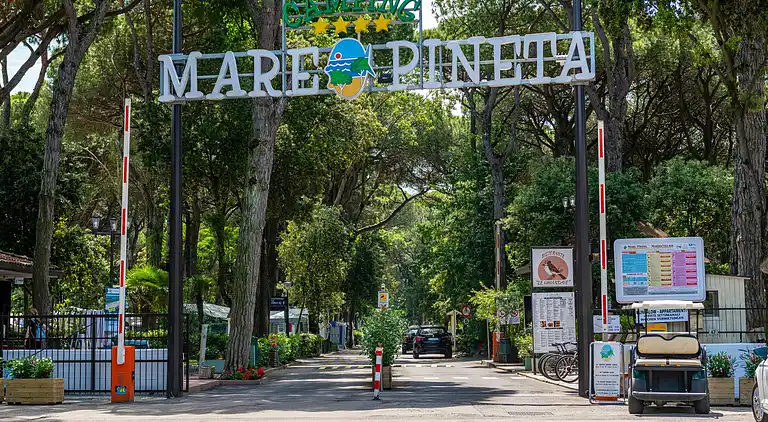 International Camping Mare e Pineta