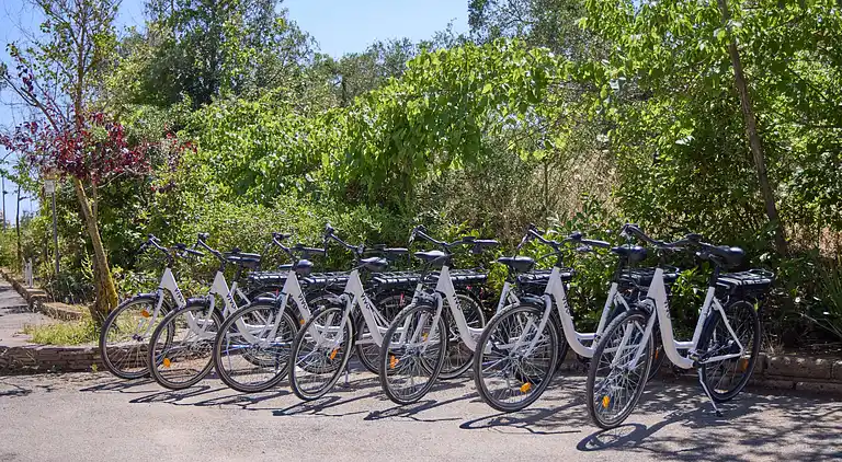 Costa D'Argento Camping Village Club Capalbio