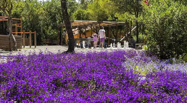 HU Montescudaio Village
