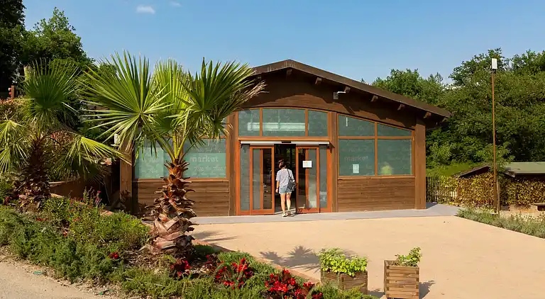 hu Firenze Certosa camping in town