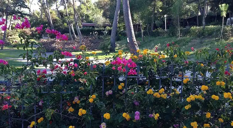 Camping Village Internazionale (San Meniao)