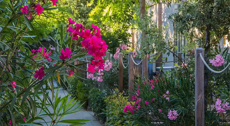 hu Roma camping in town