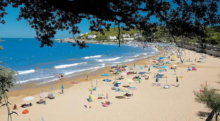 Camping Internazionale Manacore