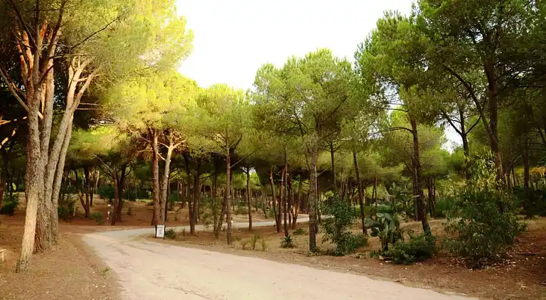 Camping Bella Sardinia