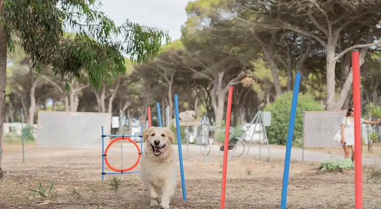 S'Ena Arrubia Camping Village