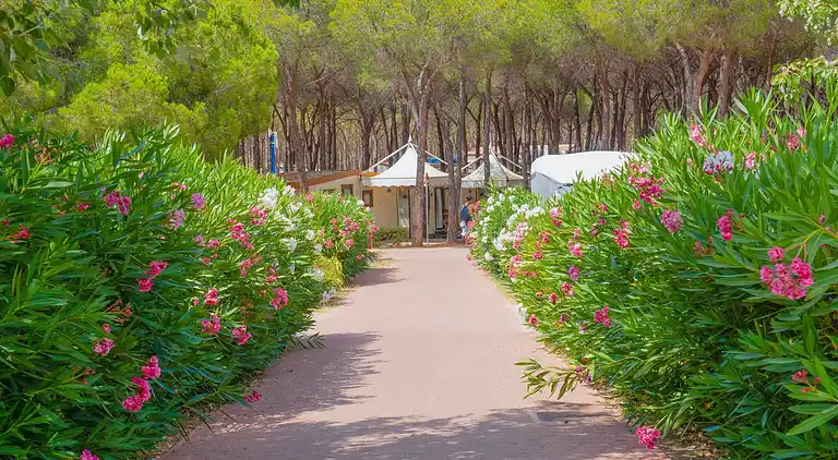 Baia Holiday Blu La Tortuga