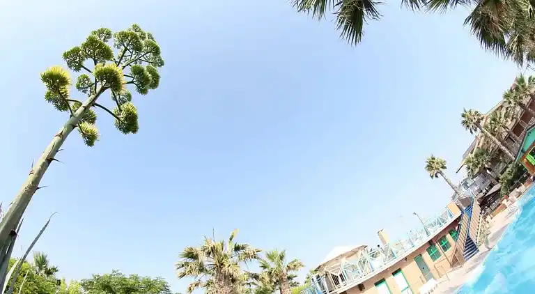 Duca Amedeo Camping Village