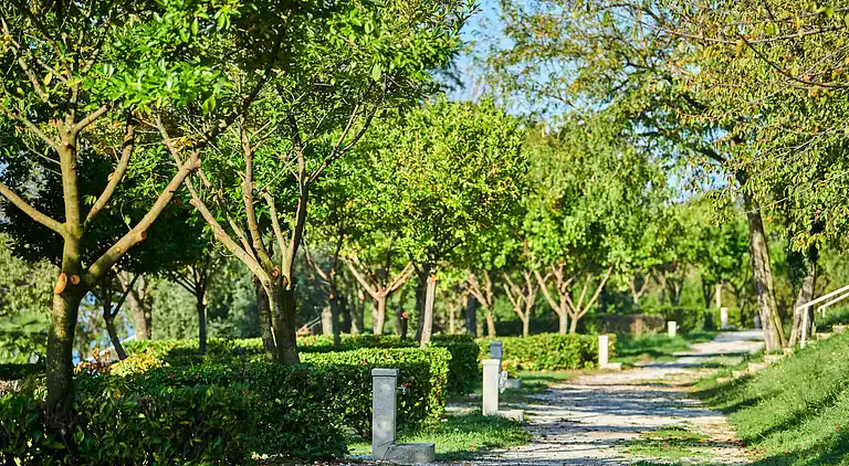 Camping Bijela Uvala