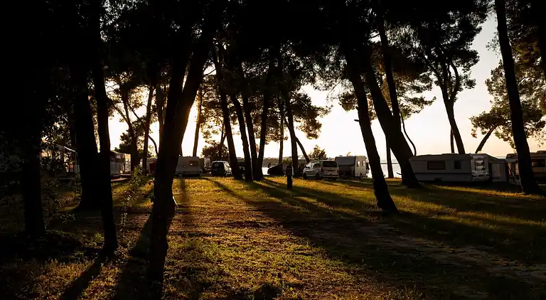 Brioni Sunny Camping