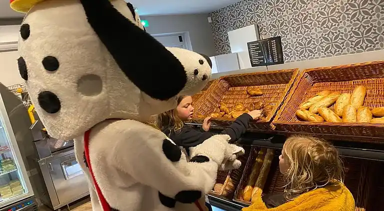 Papillon Country Resort