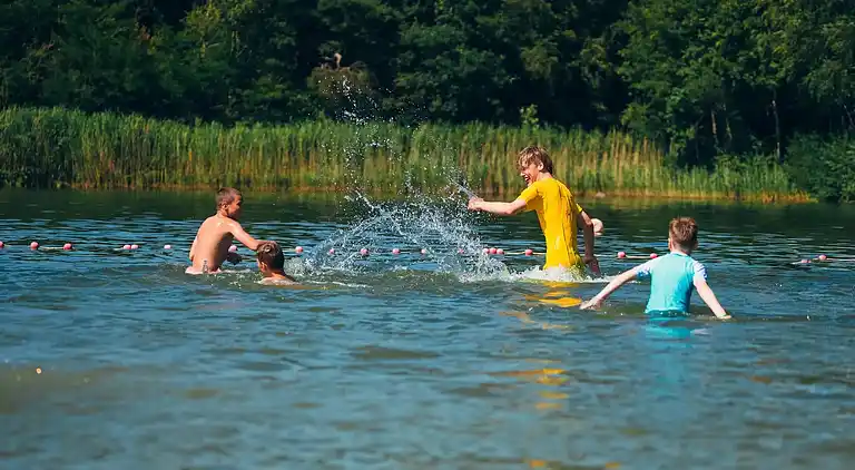 Papillon Country Resort