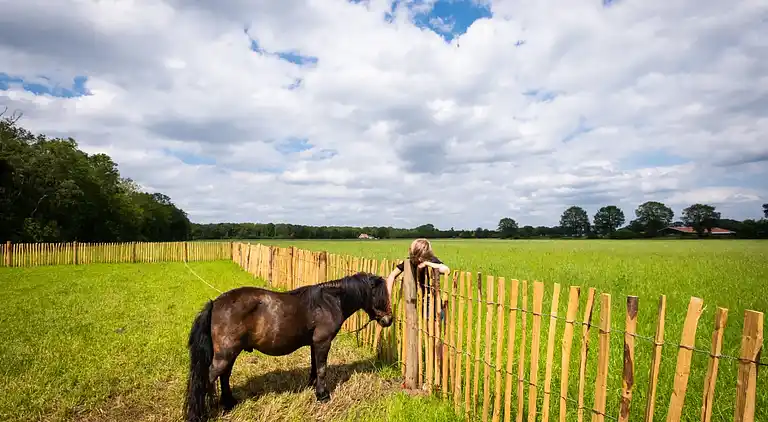 Papillon Country Resort