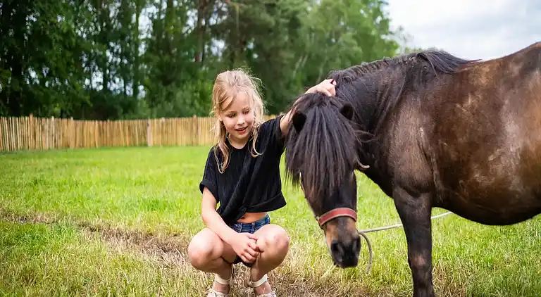 Papillon Country Resort