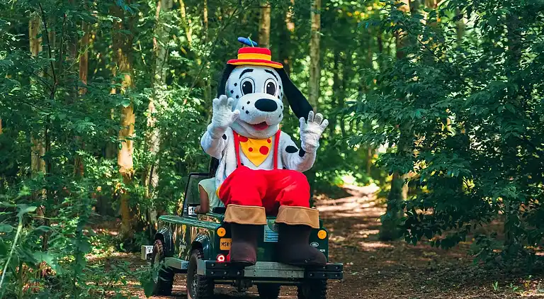 Papillon Country Resort