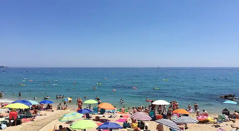 Camping Sènia Cala Gogo Internacional