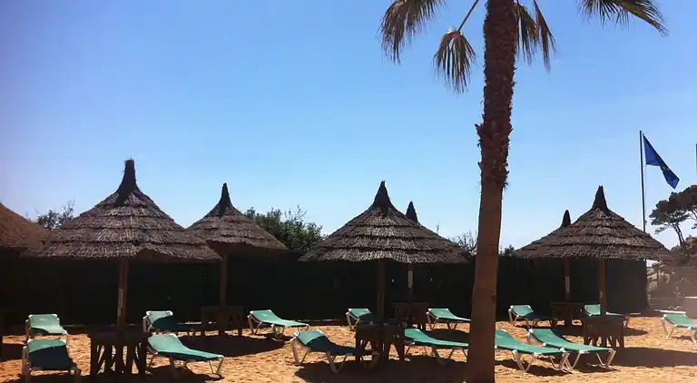 Camping Sènia Cala Gogo Internacional