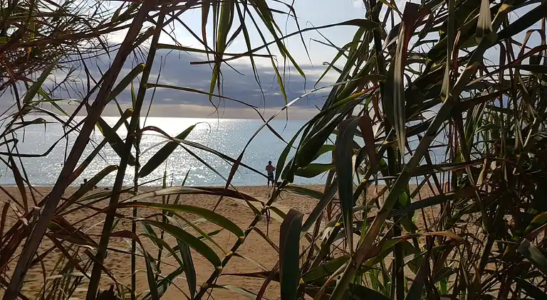 Camping Sènia Cala Gogo Internacional