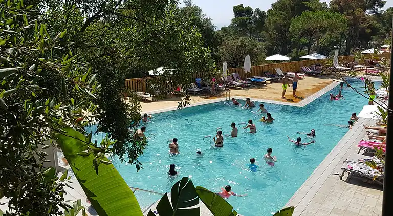 Camping Sènia Cala Gogo Internacional