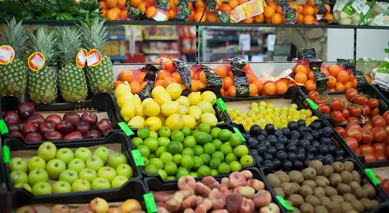 Camping Sènia Cala Gogo Internacional