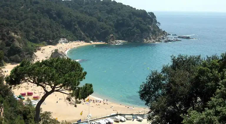 Camping Sènia Cala Canyelles