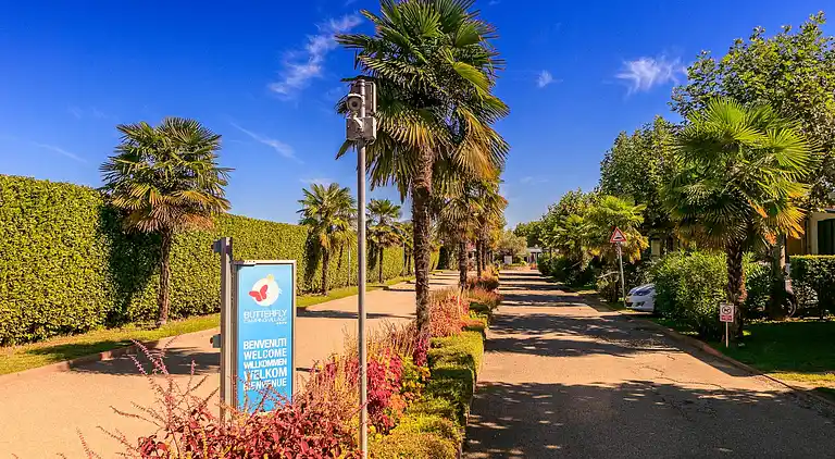 Butterfly Camping Village