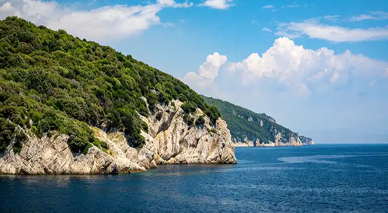 Brioni Sunny Camping