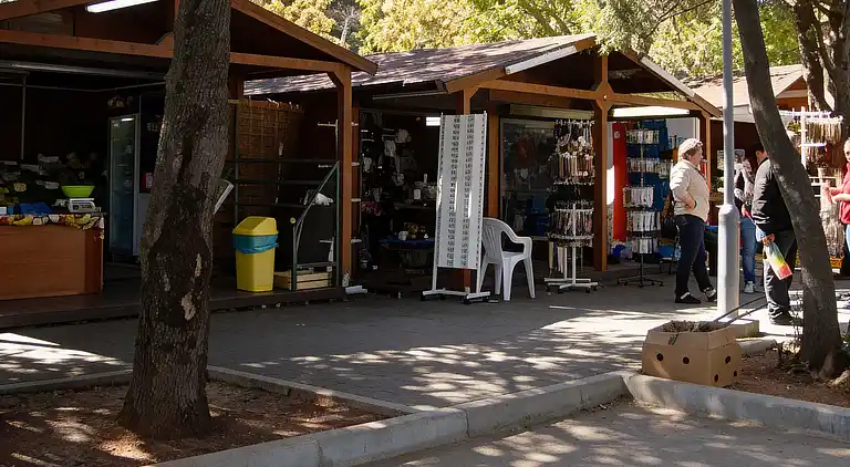 Brioni Sunny Camping