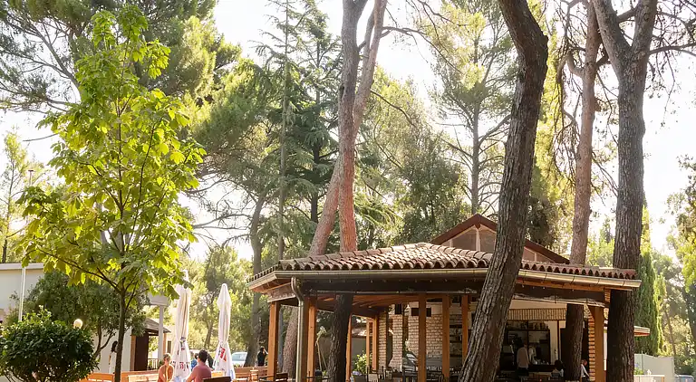 Brioni Sunny Camping