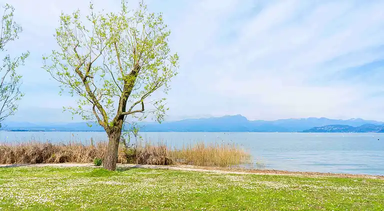 Baia Holiday Gasparina