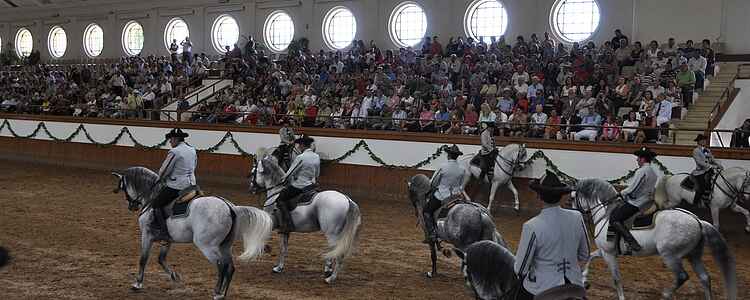 London Olympia and The Great Royal Andalusian School of Equestrian Art!