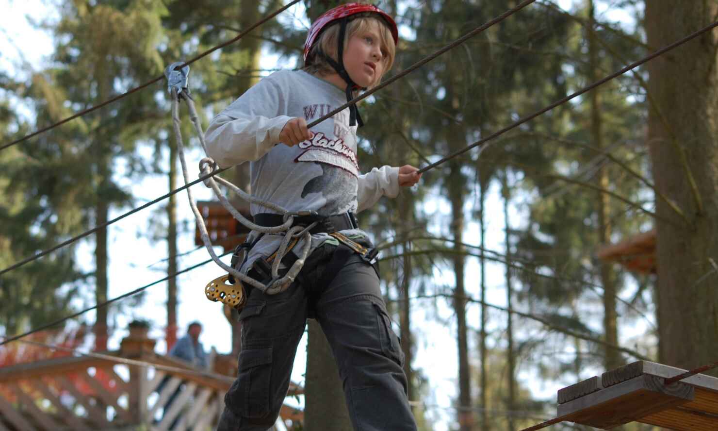 adventureforest03.jpg