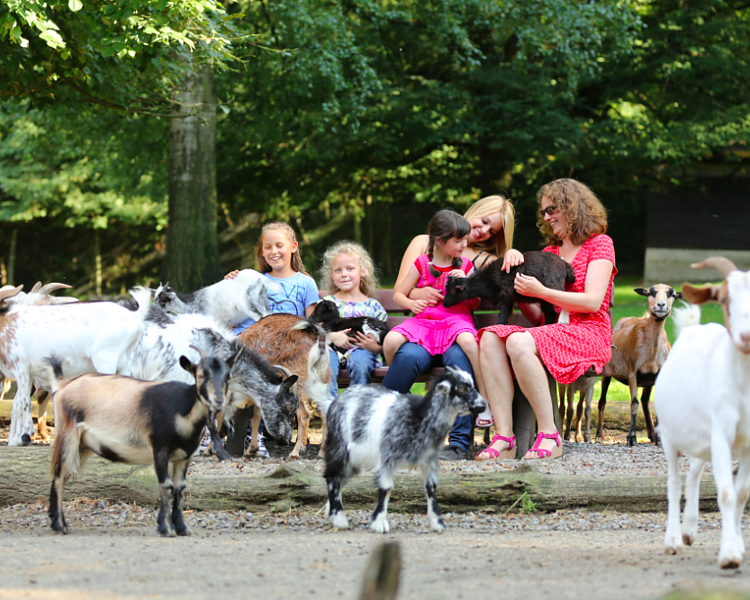 Städtetrip: Karlsruhe Sehenswürdigkeiten entspannt entdecken
