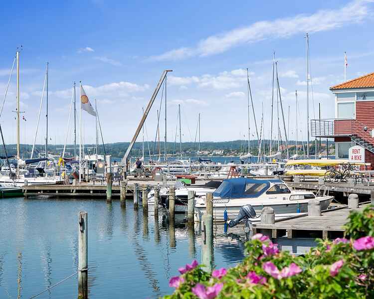 15 af de bedste oplevelser og seværdigheder i Sydjylland (2024)