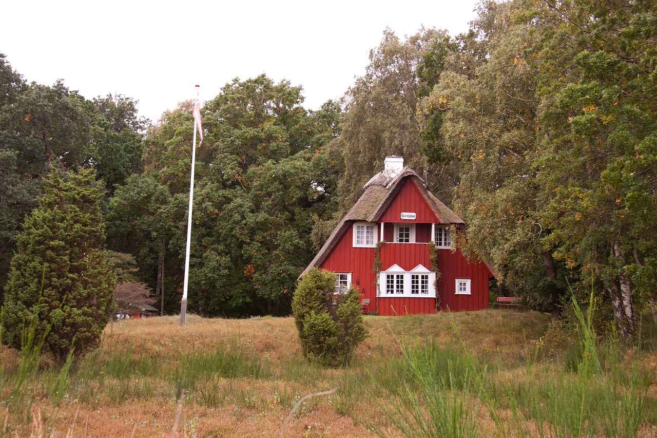 Rødt sommerhus med stråtag i midten af en skov