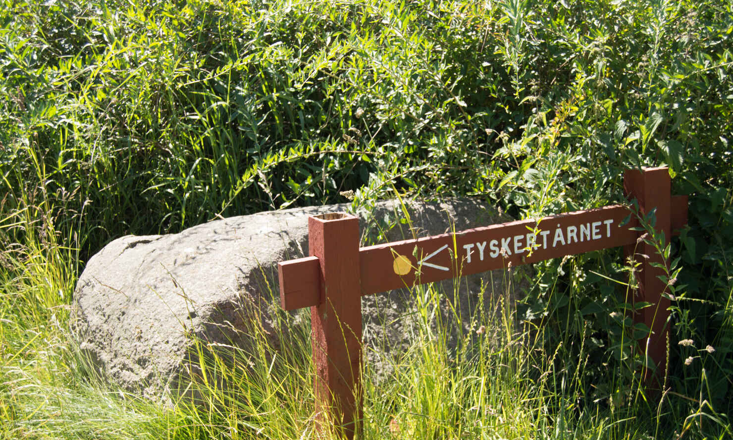 Tyskertårnet-1.jpg