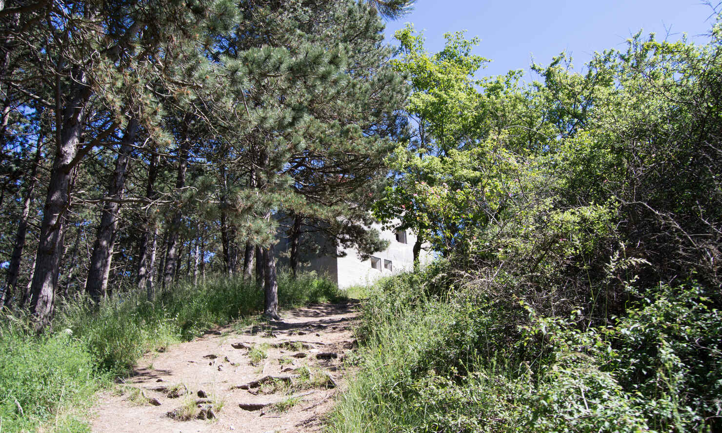 Tyskertårnet-8.jpg