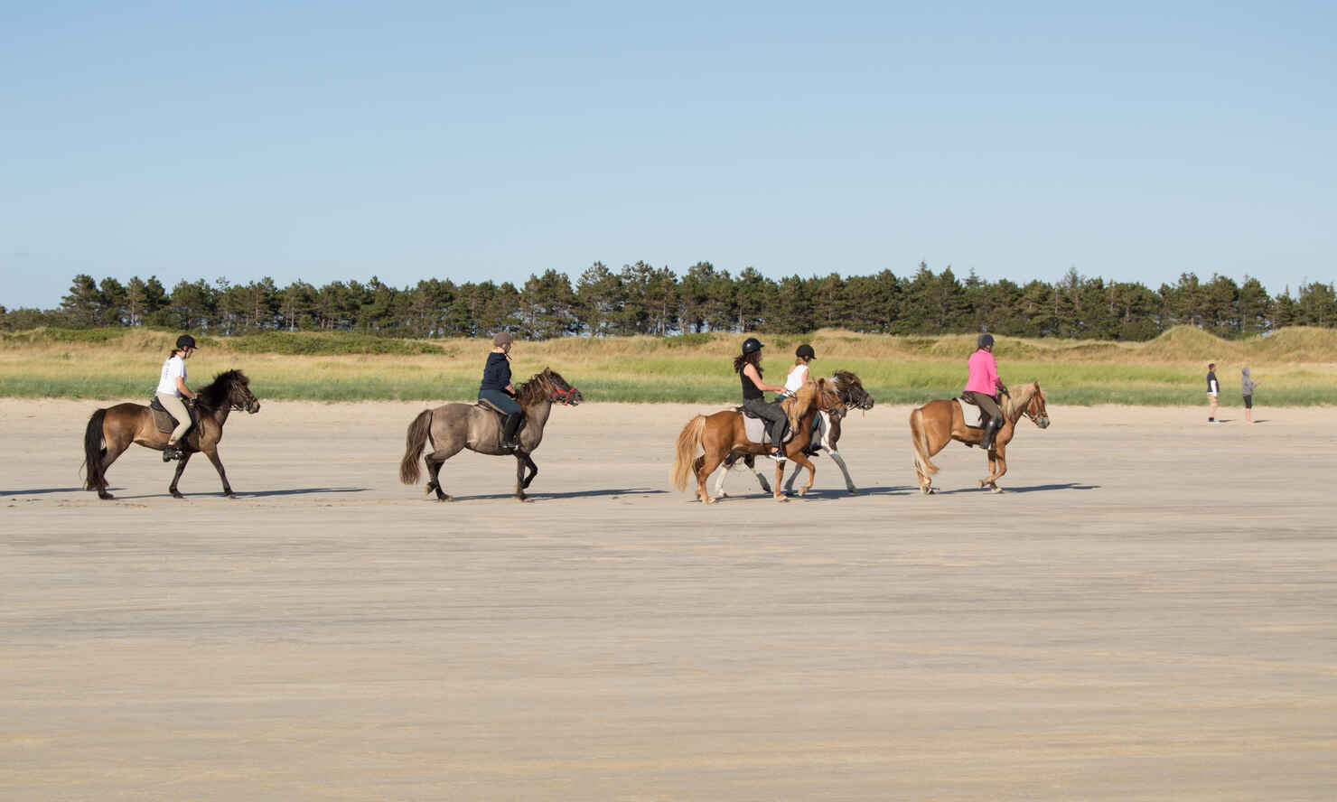 Sylt-Sydstranden-13.jpg