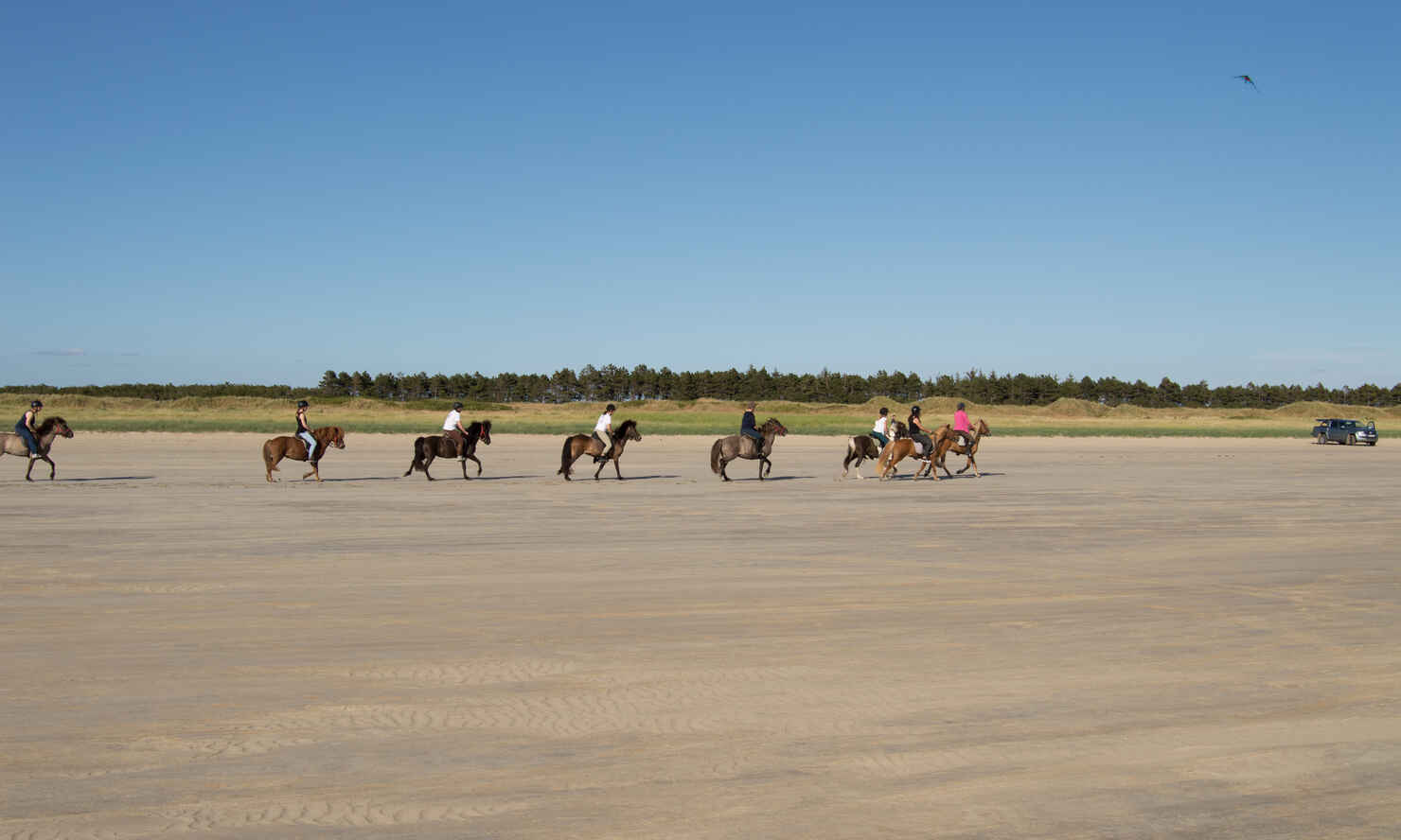 Sylt-Sydstranden-12.jpg