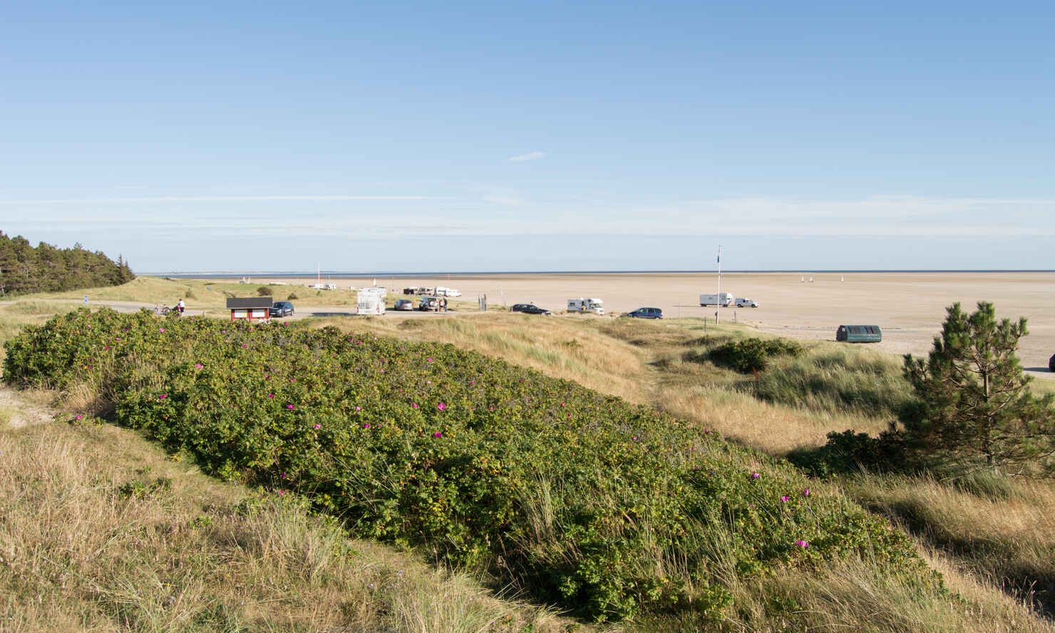 Sylt-Sydstranden-4.jpg