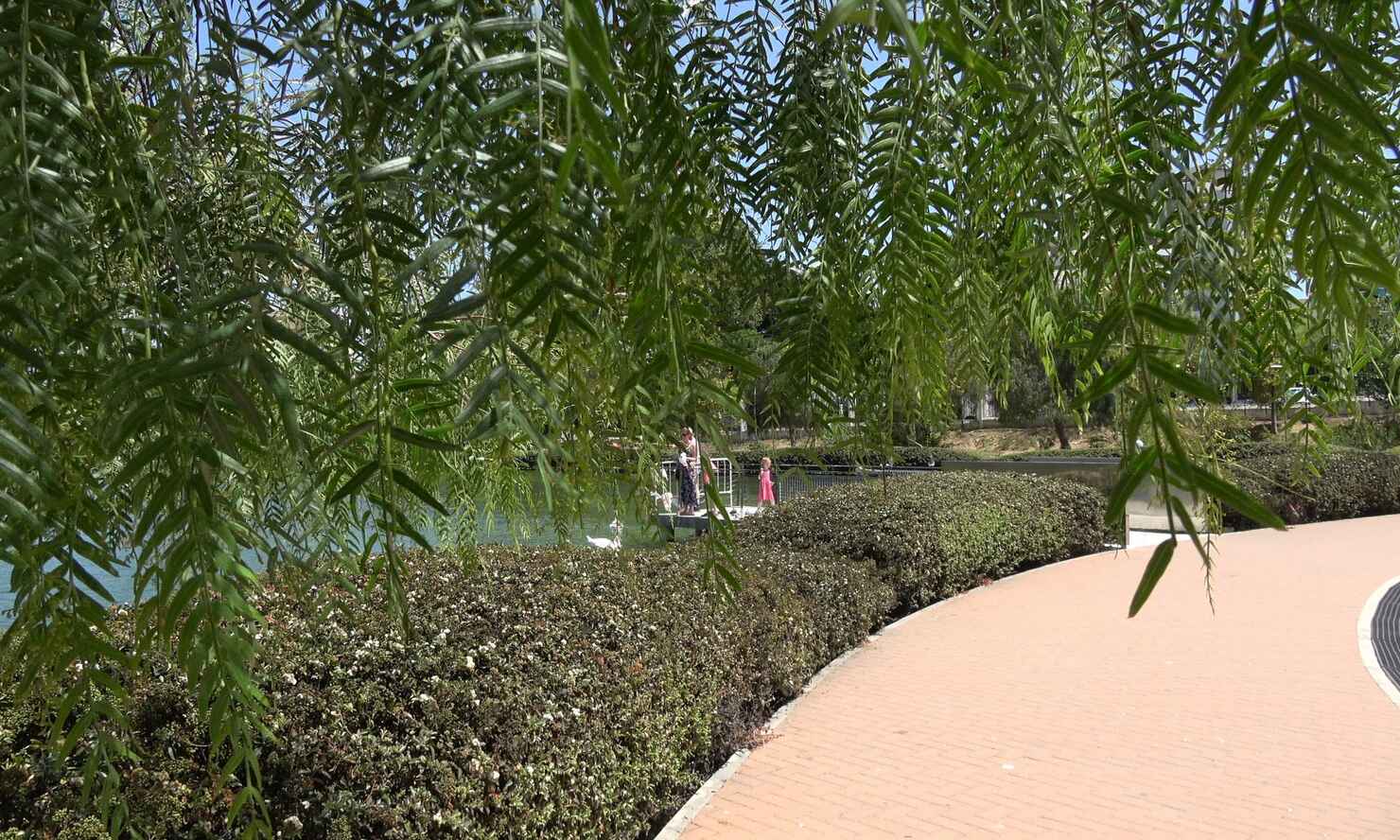 parque-paloma-15.jpg