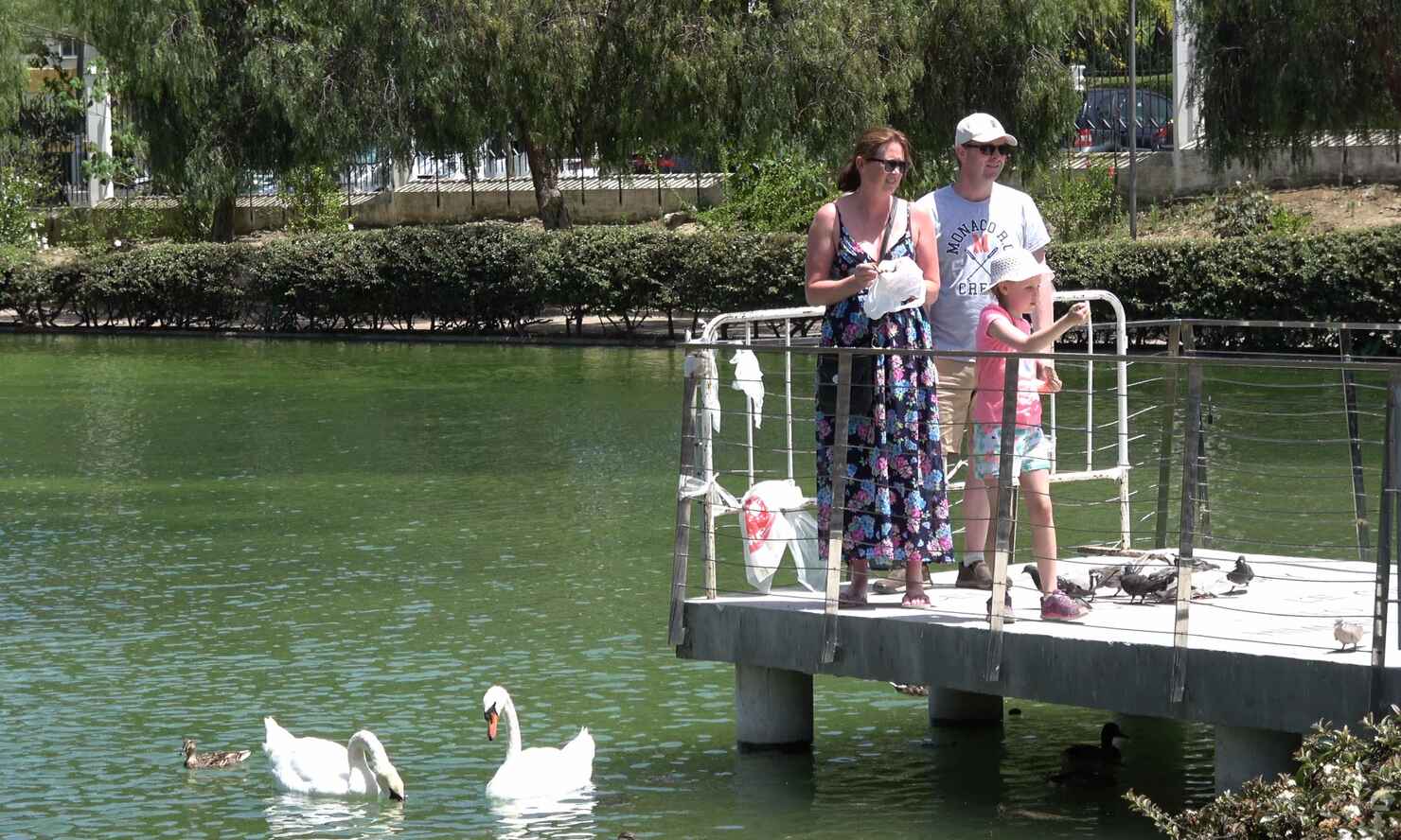 parque-paloma-17.jpg