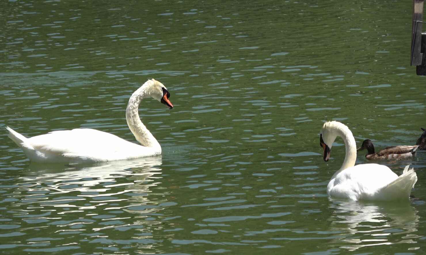 parque-paloma-18.jpg